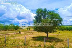 Đất vườn ven biển bình thuận rẻ nhất thị trường. pháp lý rõ ràng 400tr lô