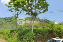 Bán đất cao phong hòa bình dt 5400m2 có 400 đất ở giá rẻ