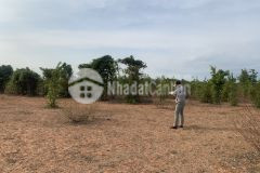 Bán lô đất nhỏ thị trấn chợ lầu diện tích 2980m2 cách đường nhựa 50m shr