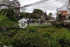 25,6 triệum2 đất xây dựng đường ô tô lớn tại lữ gia, đà lạt