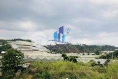 Bán đất phước thành p7 đà lạt.