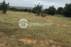 Bán lô đất bình thuận mặt tiền đường liên huyện đi sân bay phan thiết 6654m2, có sẵn sổ.