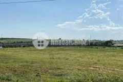 Tôi cần bán lô đất trồng cây ở xã phan thanh, có sổ sẵn diện tích 3.792m2