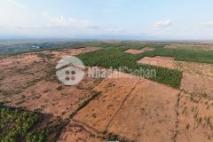 Đất vườn bán gấp, 2300 giá trỉ