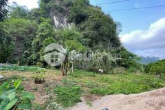 Chính chủ cần bán gấp đất lương sơn hoà bình