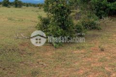 Bán 9835m2 đất nông nghiệp hồng thái cạnh khu trồng thanh long gần liên huyện liên xã lh 0938677909