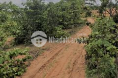 Bán lô đất nông nghiệp rộng 14.502m2 gần các tuyến liên huyện liên xã giá chỉ 95km2