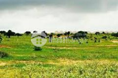 Bán lô đất ngay mt liên huyện lộ giới 12m, diện tích 6.654m2 giá 1 tỷ 64