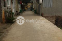 Đất đẹp đường ô tô thôn doãn hạ xuân lâm dt 65m2. gía 17 triệu m2