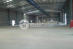 Cần cho thuê kho xưởng trong kcn vinatex tân tạo, huyện nhơn trạch, tỉnh đồng nai