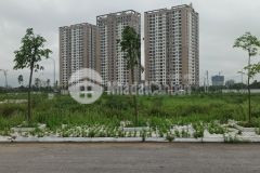 Cần bán nhanh 2 lô đất liền kề nhau mb3241 phường đông hương, thanh hóa, suất ngoại giao