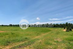 Bán lô đất xã hồng thái dt5000m2 giá 575 triệu sổ sẵn bao công chứng sang tên tại sg lh 0937251240