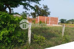 Bán đất tam xuân 1 núi thành quảng nam chỉ 330 triệu, chưa qua đầu tư