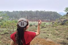 Bán nhanh siêu phẩm mộc châu duy nhất tới 304 15, cạnh chimi fram, đối diện rừng thông,