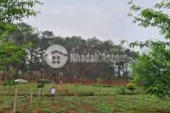 Duy nhất hôm nay 2 chỉ vàng trao tay dành cho khách mua mảnh đất thị trấn mộc châu