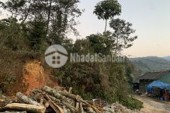 Bán đất nền y tý giá siêu rẻ dành cho các nhà đầu tư