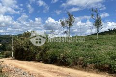 101.bán lô đất trồng cây trà xã lộc tân, huyện bảo lâm