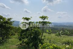 99. bán lô đất thôn 16 xã lộc thành huyện bảo lâm