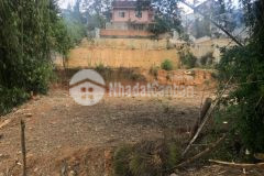 D957 cần bán lô đất hẻm ô tô lê hồng phong phường 4 tp đà lạt.