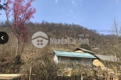 Bán mảnh đất 2700m2, view đẹp bậc nhất y tý. lh em linh 0933.56.1998