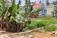 D958 cần bán lô đất xây dựng hẻm ô tô mai hắc đế phường 6 tp đà lạt.