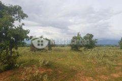 Bán 6396m2 đất nông nghiệp phan thanh cách quốc lộ 2km sổ sẵn chỉ 703tr lh 0938677909 hiền xem sổ