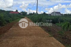 Bán đất hải thái gio linh quảng trị 0941076225