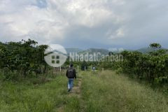 103. bán lô đất 2ty500tr xã đại lào thành phố bảo lộc