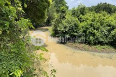 Đất sào bình long giá rẻ sổ sẵn 2000m2 dân cư đông đúc bao quanh là các khu công nghiệp