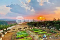 Lô mặt sông đa nhim duy nhất, thích hợp xây nhà vườn,biệt thự vườn,homestay, sổ sẵn, view tuyệt vời