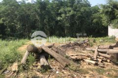 Đất mặt tiền cam tuyền, cam lộ, quảng trị