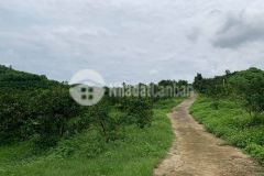 Bán đất kim bôi hòa bình view núi đồi bám suối dt 11ha