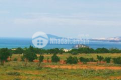 1,2 hec ta đất view biển 100 tại hòa thắng bắc bình giá chỉ 320km2