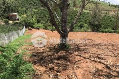 104. bán lô đất thôn 16 view săn mây xã lộc thành huyện bảo lâm