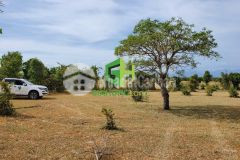 6700m2 đất trồng cây thị trấn lương sơn, cách quốc lộ chỉ 500m,