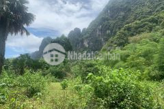 Bán đất kim bôi hòa bình dt 982m2 full thổ cư giá đầu tư.