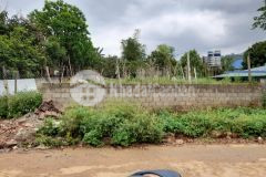 Siêu phẩm 391m2 có thổ cư tại rừng thông bản áng với giá rẻ nhất mộc châu