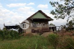 Chính chủ bán lô đất nhà vườn mặt tiền cực đẹp 477m2 tại tân phú đông tiền giang