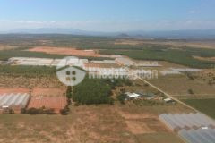 7800m2 đất trồng cây hàng năm ngay ngã ba thị trấn lương sơn, sổ hồng sẵn