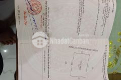 Bán đất cường thịnh quảng cư sầm sơn thanh hóa