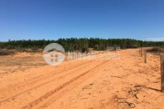 Bán lô đất 2 mặt tiền đường xe oto vô tới đất vị trí ngay ql1a và khu dân cư giá tốt