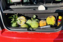 Bán đất thổ cư, mặt đường tỉnh lộ 2 diên khánh, có vườn trái cây đã thu hoạch, thích hợp nhà vườn