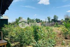 Bán nhà vườn hẻm 30 đường 195