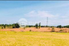 Bán 4000m2 đất trồng cây xã bình tân, gần đường quốc lộ