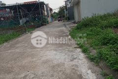 Bán đất giãn dân đình dù giá rẻ nhất thị trường, 80m2, đường 7m lh 0835459289