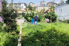 Bán đất mai hắc đế p6 tp. đà lạt.