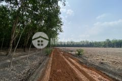 Đất nền tân hiệp, tây ninh giá rẻ