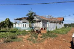 Bán 1,5 sào đất nông nghiệp xã hòa khánh giá đầu tư chỉ với 530 triêu