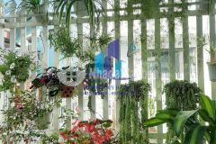 Bán nhà đường phạm hồng thái p10 tp. đà lạt.