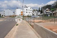 3 ty chi con 1 can duy nhat so rieng tran phu p4 đa lat